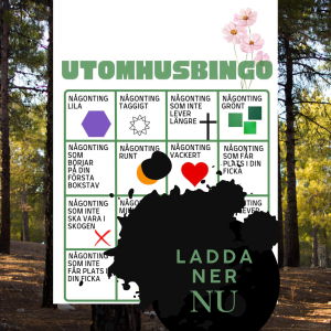 Utomhus BINGO