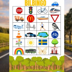 Bilbingo för hela familjen