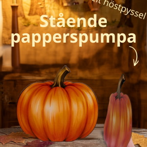 Beskrivning av papperspumpa.