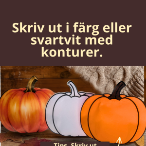 Beskriver olika utskriftsval.